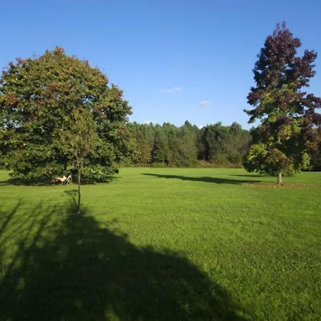 Prune Holiday home